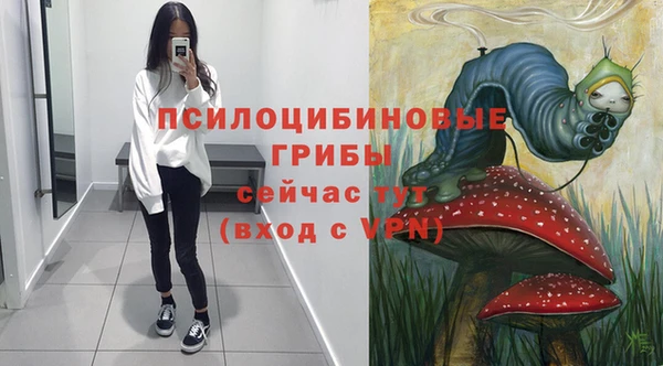 мяу мяу мука Кукмор