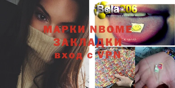 гашик Кулебаки