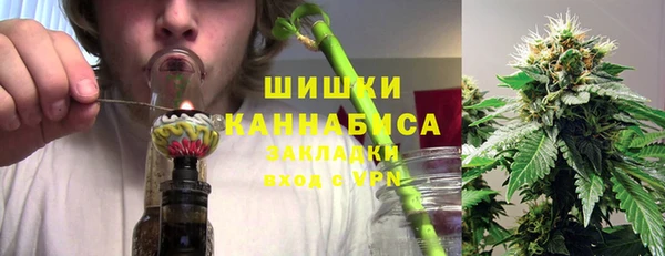 гашик Кулебаки