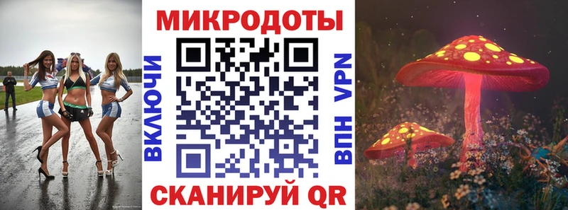 наркошоп  Сурск  Галлюциногенные грибы прущие грибы 